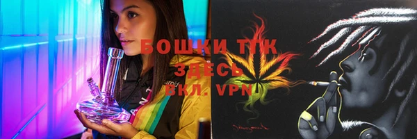 трава Арсеньев