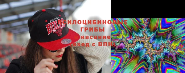 трава Арсеньев