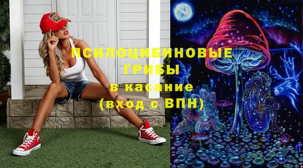 трава Арсеньев