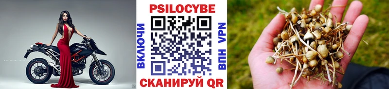 Галлюциногенные грибы мицелий  Купить  Дедовск 